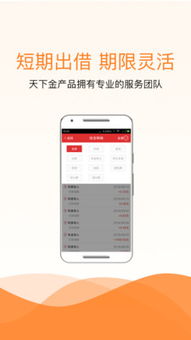 金融中介服務(wù)的合法性與風(fēng)險(xiǎn)邊界——以線上信貸平臺(tái)為例